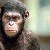 Thumb_4eb9bce7488f1a00010000f7